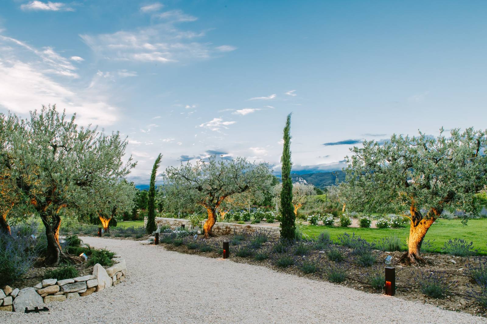 Aménagement lumineux d'un grand jardin à Saint Rémy de Provence dans les Alpilles